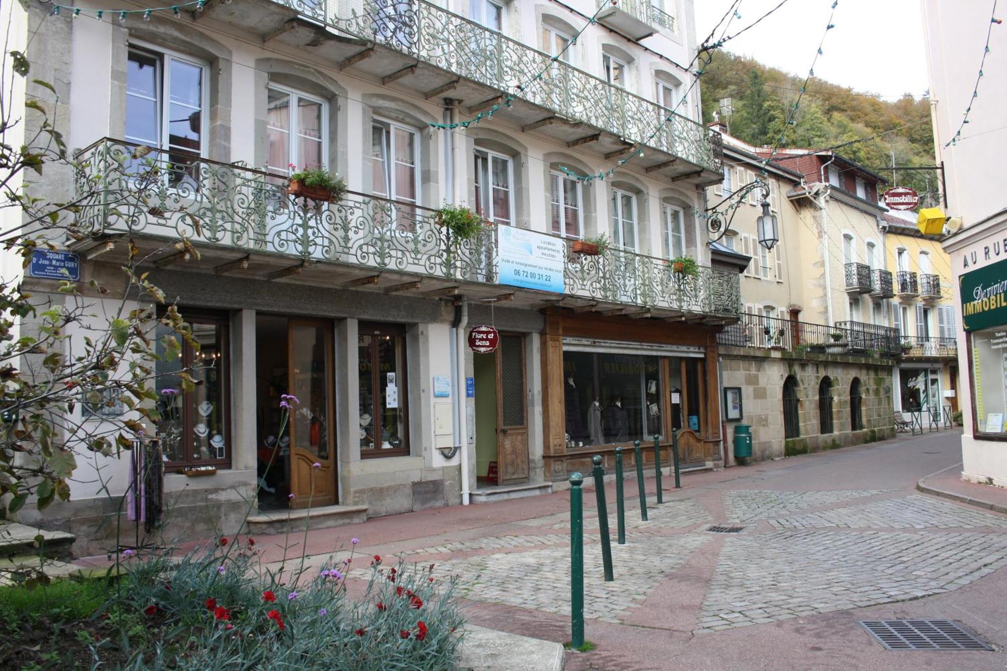 Residence Maison Blanche Plombières-les-Bains Εξωτερικό φωτογραφία